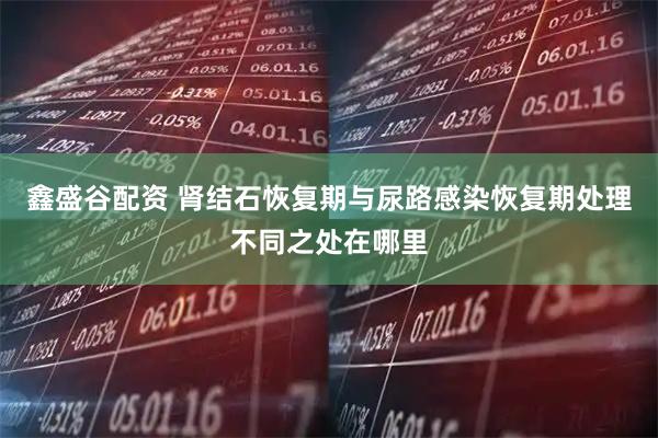 鑫盛谷配资 肾结石恢复期与尿路感染恢复期处理不同之处在哪里